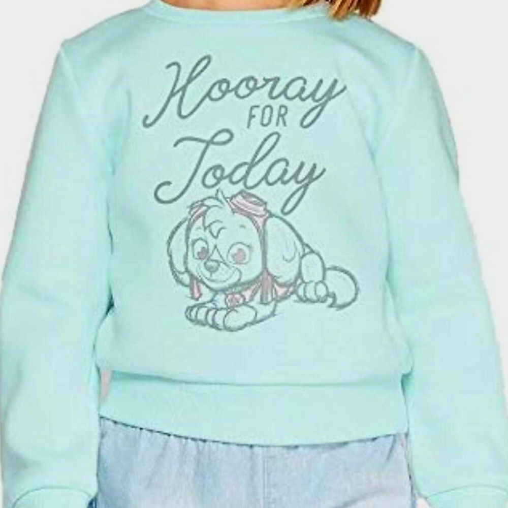 0435 NWT Paw Patrol Aqua Sweatshirt - Hooray for Today - Picture 2 of 7